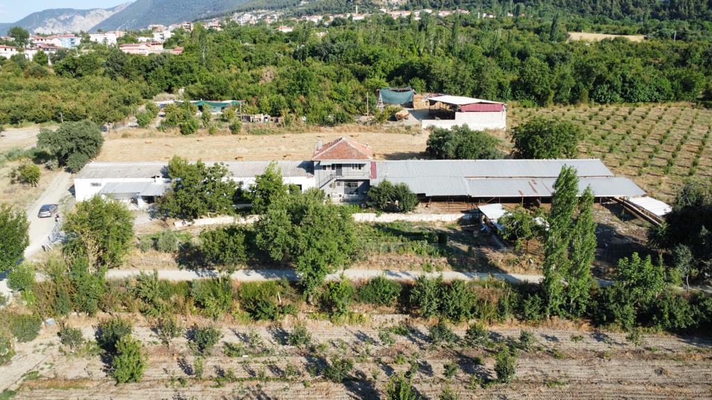MAXREAL HONAZ’DAN DENİZLİ HONAZ’DA SATILIK BESİ ÇİFTLİĞİ – EV + GENİŞ BESİHANE + TARIM ALANI
